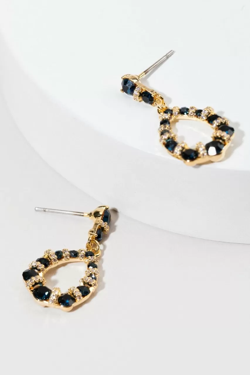 Francesca's Aubrey Crystal Drop Earrings