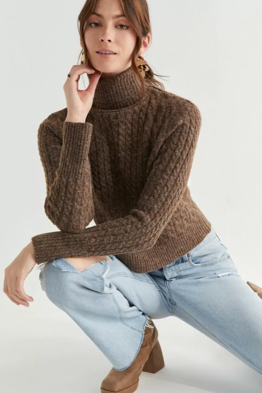 Francesca's Becci Turtleneck Pullover