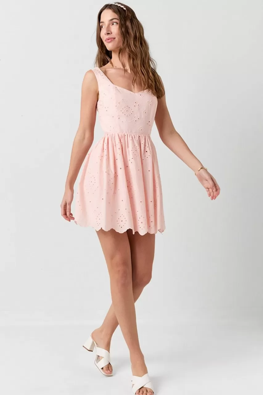 Francesca's Bella Bow Back Eyelet Mini Dress