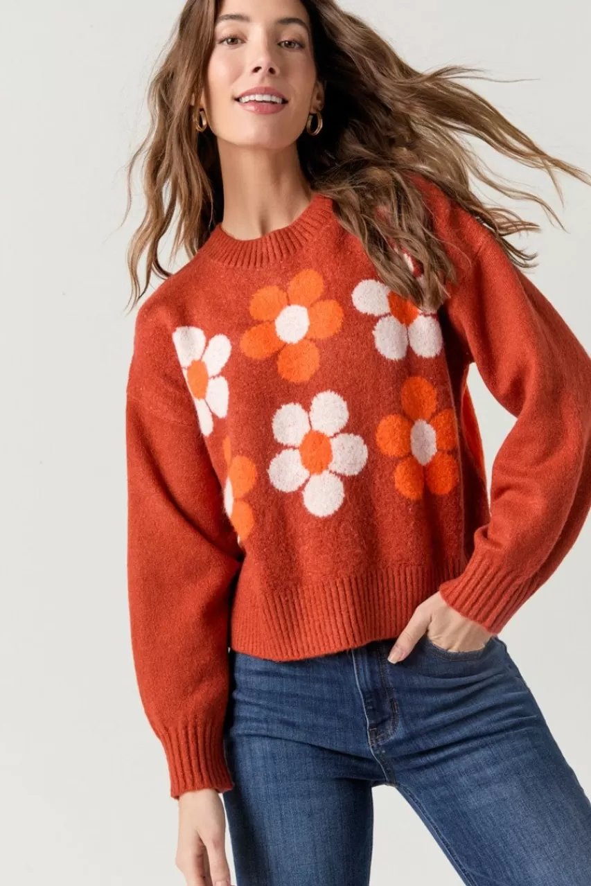 Francesca's Daisy Crew Pullover