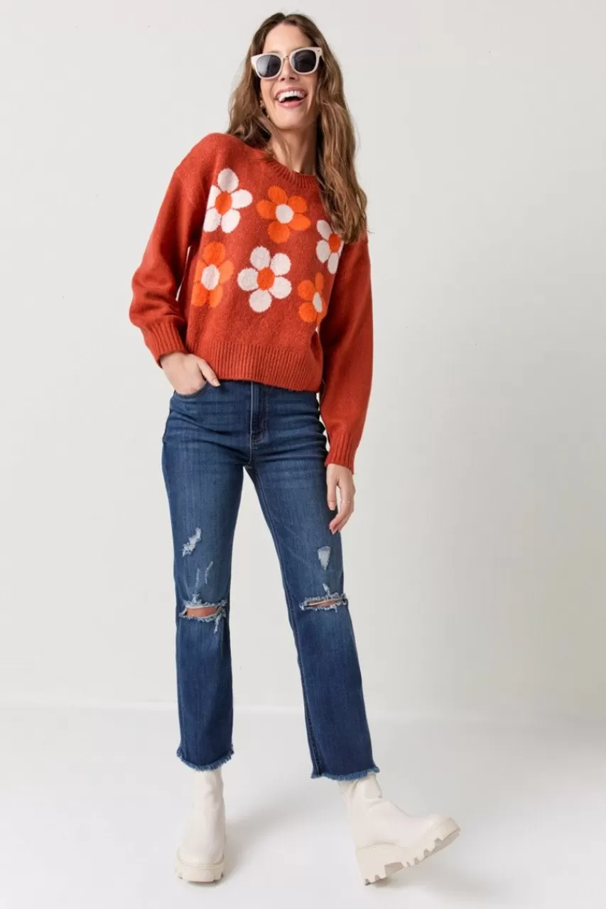 Francesca's Daisy Crew Pullover