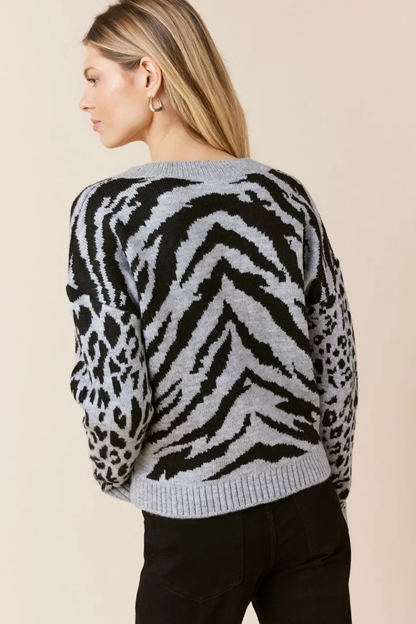 Francesca's Dianne Animal Print V Neck Pullover