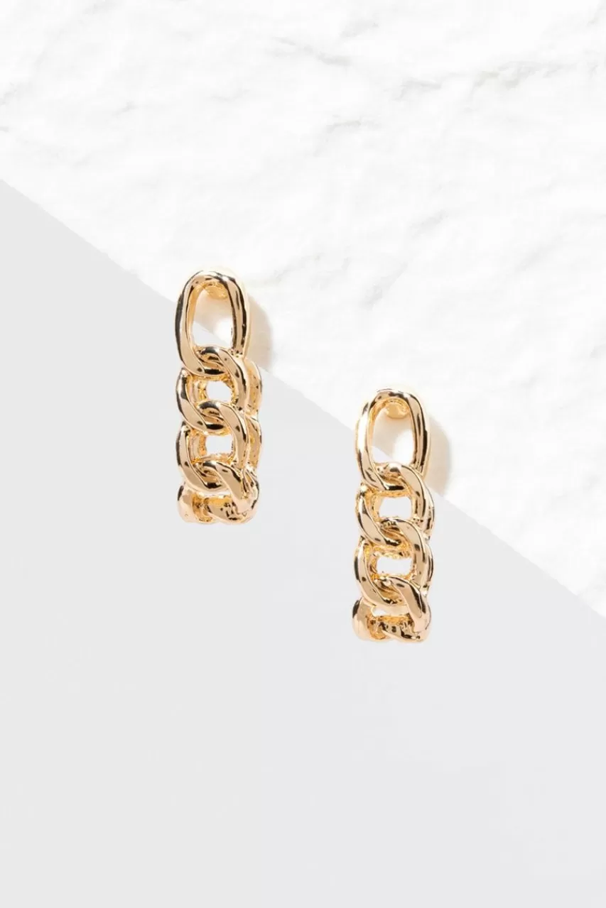 Francesca's Fargo Chain Link Open U Hoop Earrings