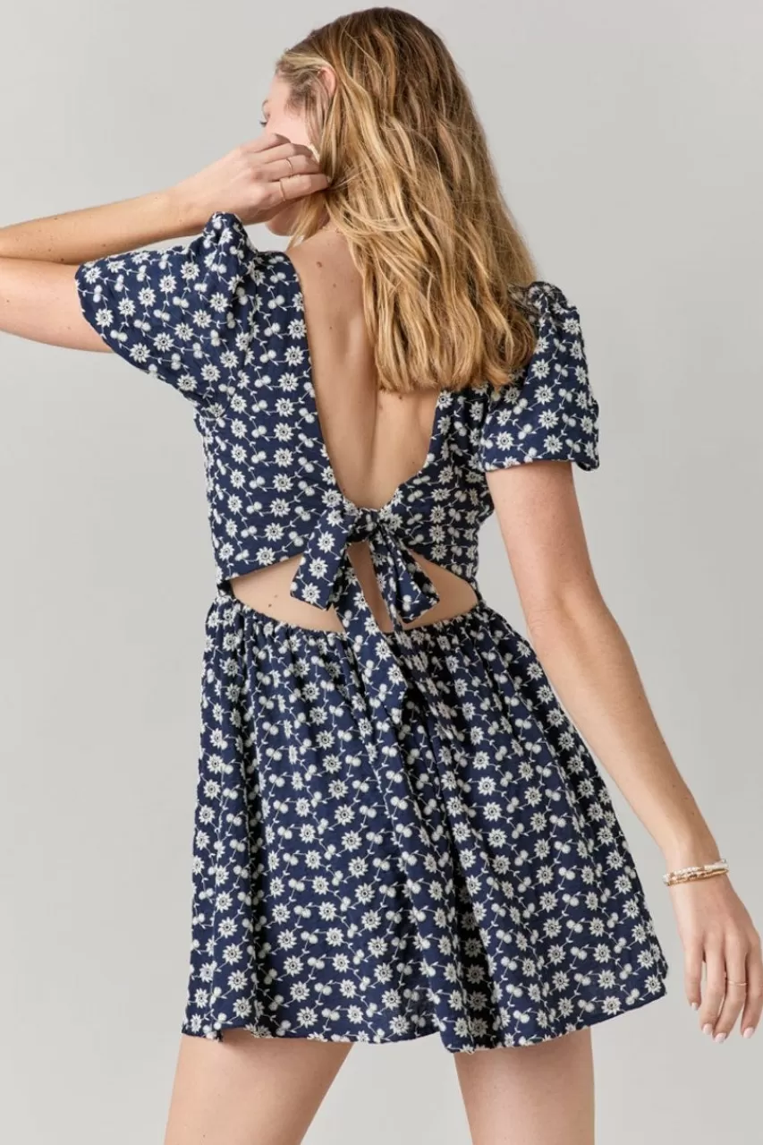 Francesca's Lillian Embroidered Sweetheart Dress