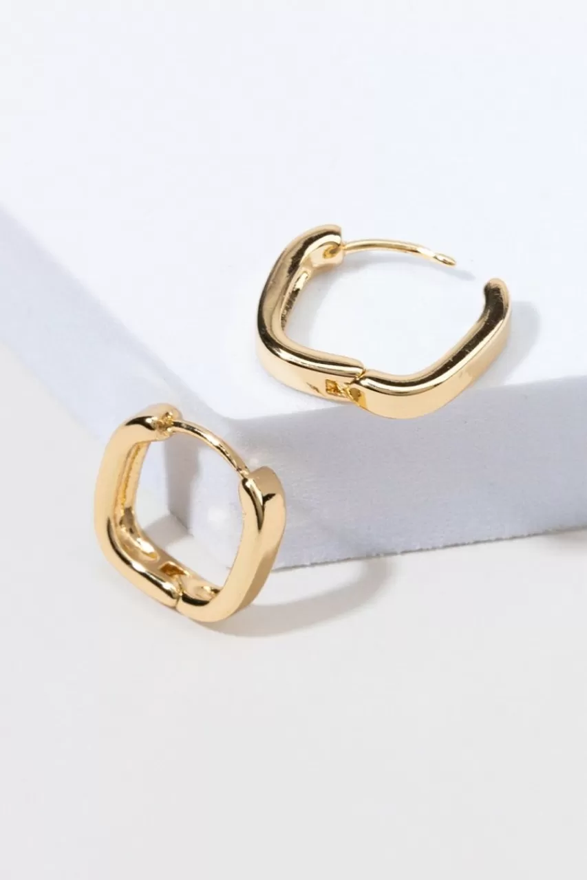 Francesca's Lucia Rounded Square Huggie Hoops