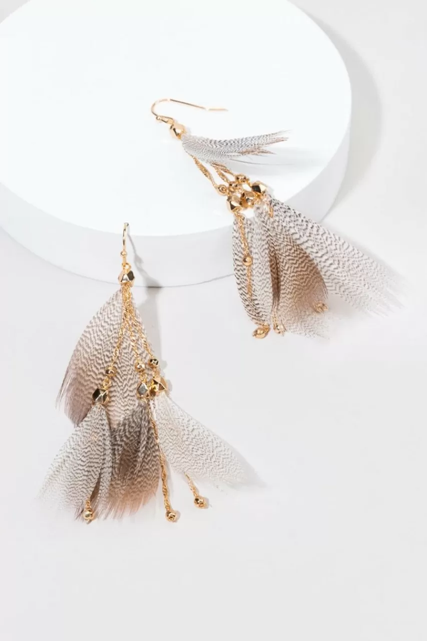 Francesca's Maya Feather Drop Earrings