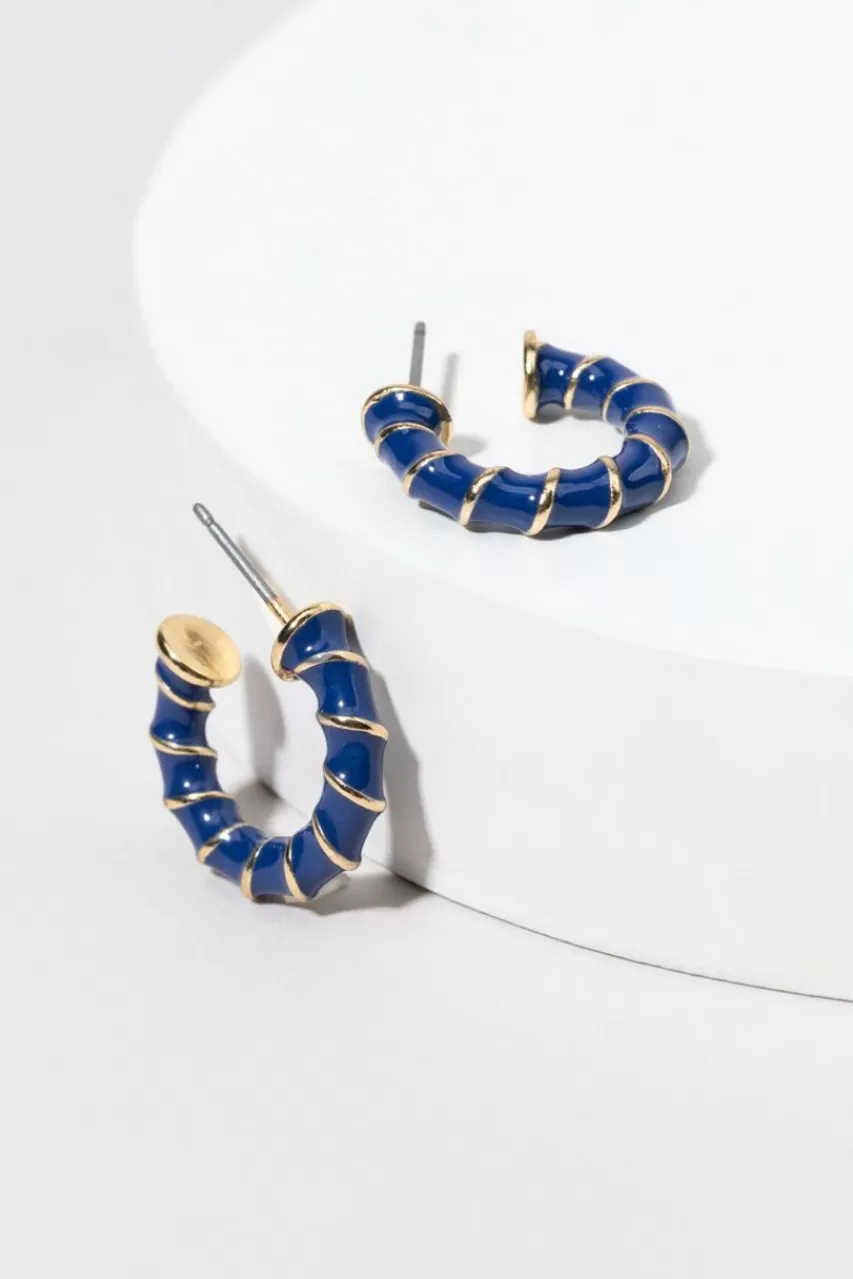 Francesca's Pamela Enamel Twist Hoop