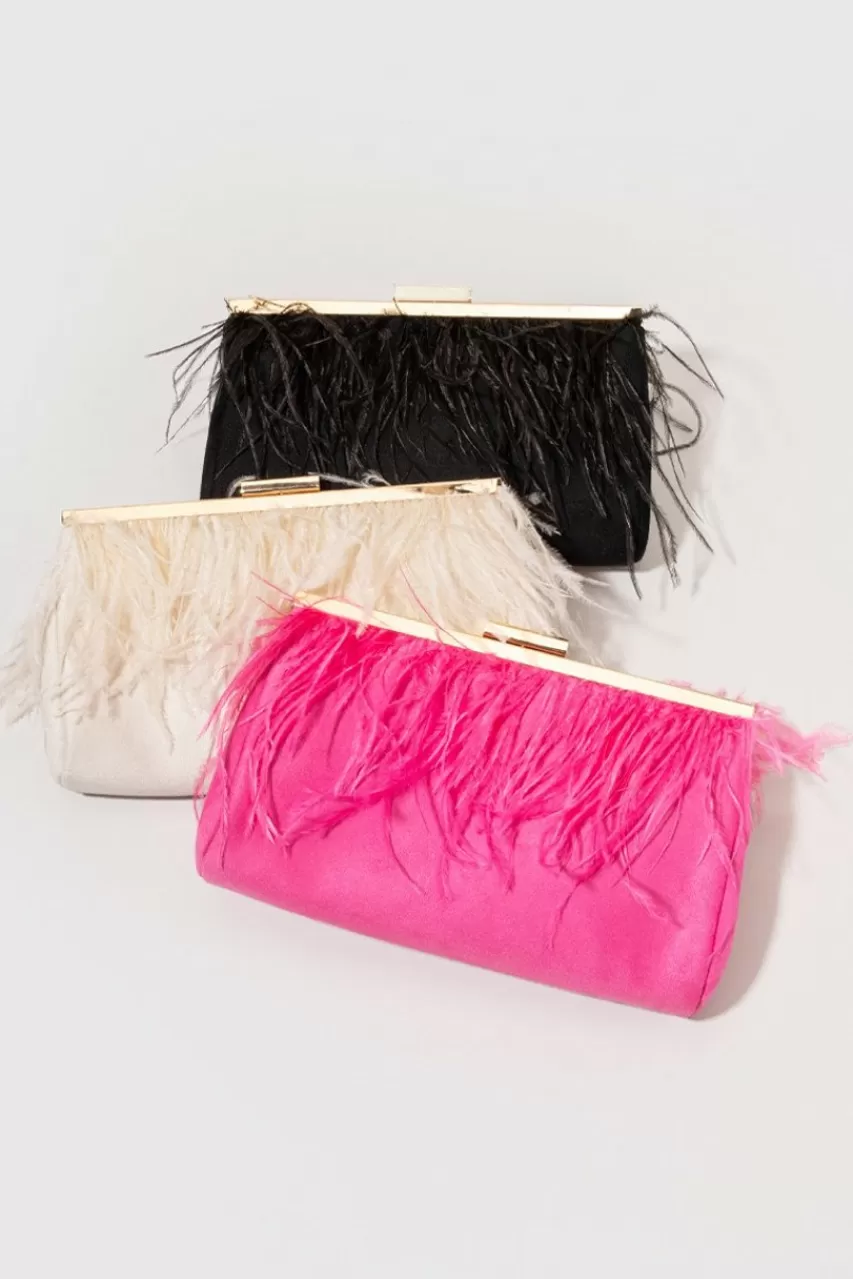 Francesca's Renni Feather Trim Frame Clutch