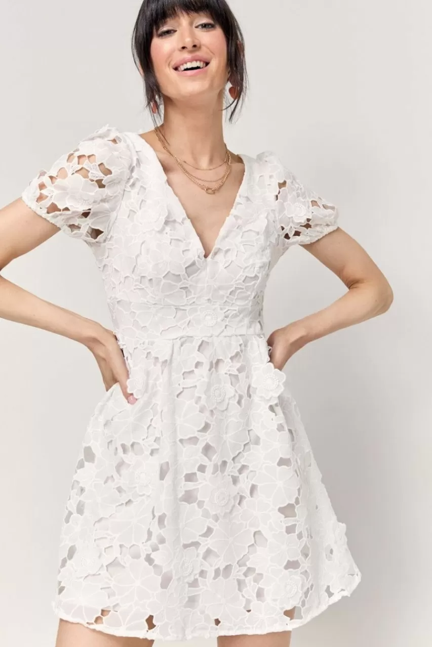 Francesca's Sylvia Floral Lace Waisted Dress