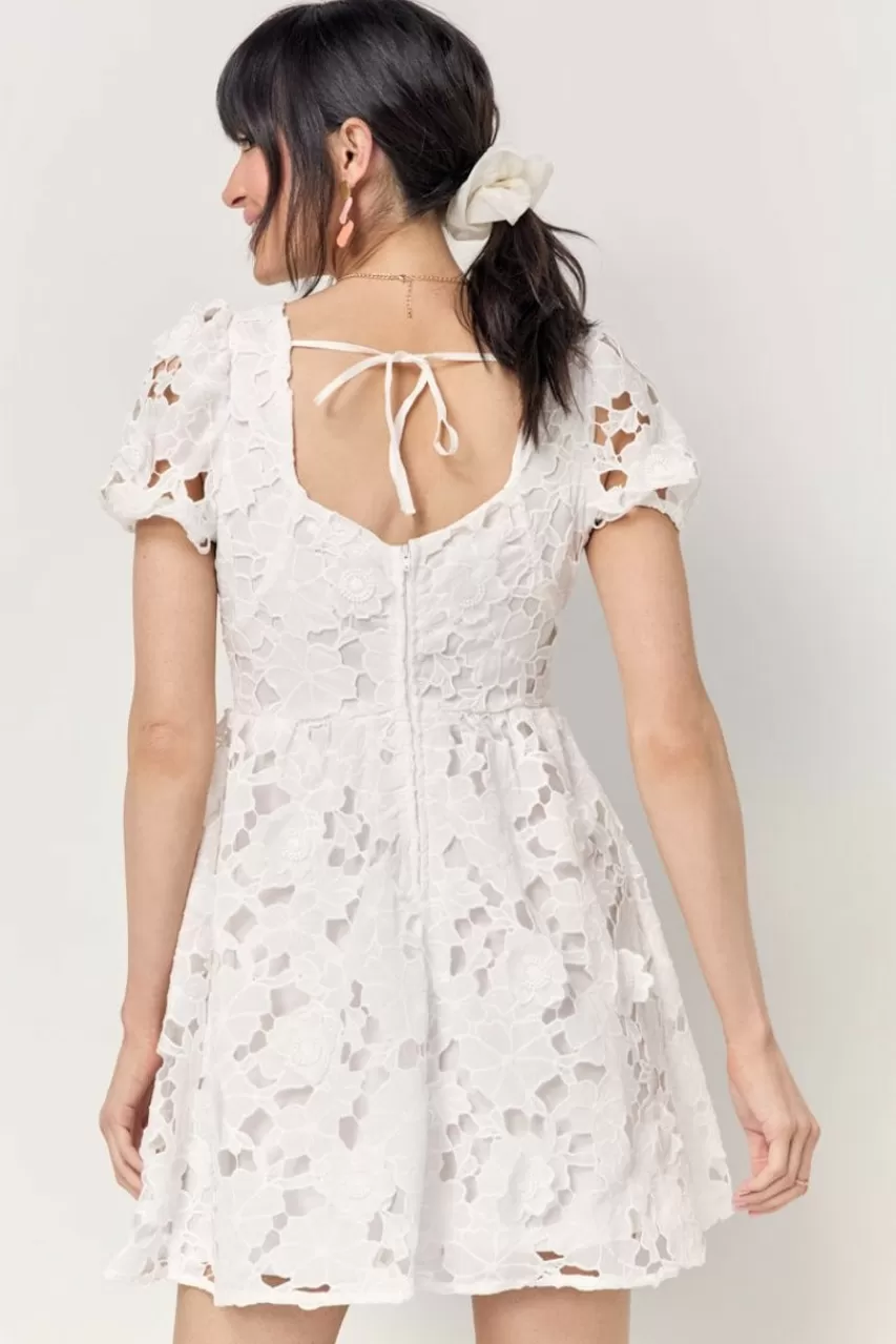 Francesca's Sylvia Floral Lace Waisted Dress